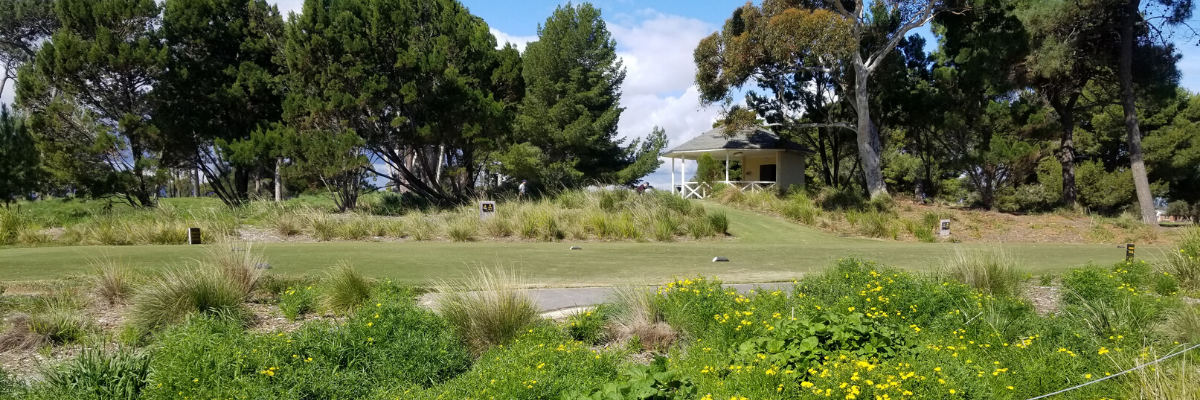 21.6 Glenelg banner.png