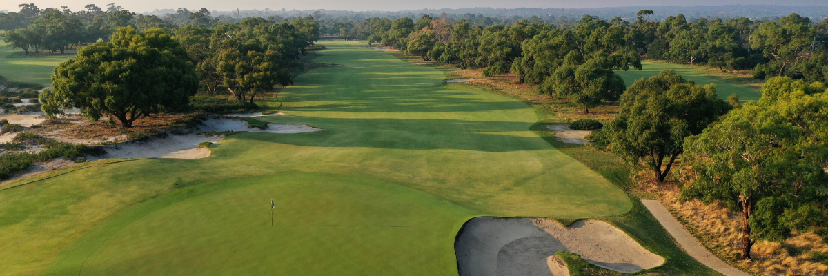 Science Behind the Surfaces banner.png